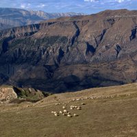 Горный пейзаж с овечками :: M Marikfoto