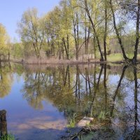 Весна на озере :: Ната Волга