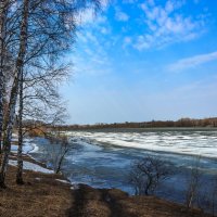 Весной на берегу озера :: Сергей Борисович 