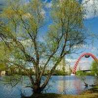 Живописный мост :: Виталий Воробьёв