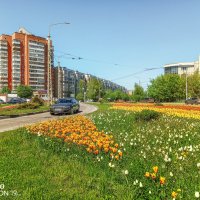 Весна в Белгороде :: Игорь Сарапулов