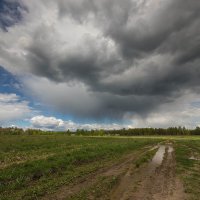 Хмурый май. :: Андрей Андрианов