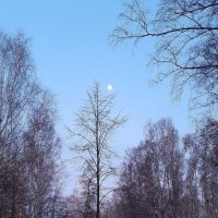 Про луну . :: Мила Бовкун
