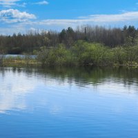 Full-flowing river Bolshoy Puchkas on a clear spring morning :: Sergey Sonvar