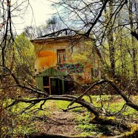 Заброшенный уголок в старом парке ... :: Сергей 