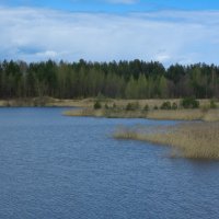 Small quarry near the forest in May | 2 :: Sergey Sonvar