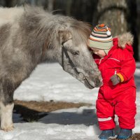 Малыш и пони :: Ольга Семина