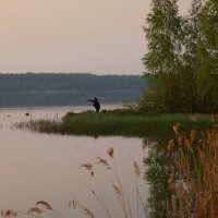 Вечерняя рыбалка :: Нэля Лысенко