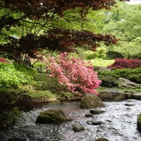 Японский садик... :: Galina Dzubina