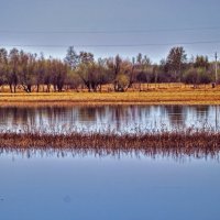 Май...Желтее в пойме прошлогодняя трава. :: Владимир 