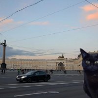 День петербургских котов и кошек. :: Михаил Столяров