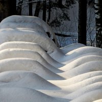 Снежные причуды..... :: Юрий Цыплятников