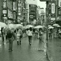 Зонтичный сезон Токио Япония :: wea *