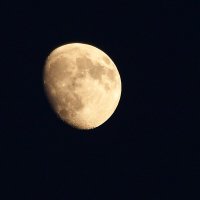 Луна, однако... :: kolyeretka 