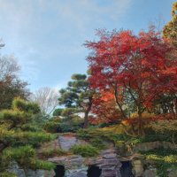Осенние краски черепашьего пруда в Бруклинском ботаническом саду :: Олег Чемоданов