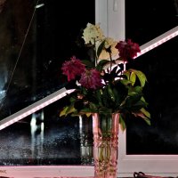 Ночь. Букет увядающих подаренных пионов на окне, а за окном льёт дождь. :: Восковых Анна Васильевна 