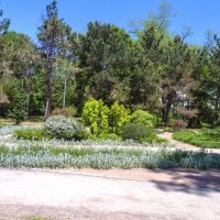 Пейзажи  ботанического сада :: Валентин Семчишин