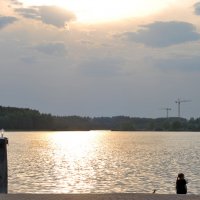 Цнянское водохранилище, девочка и птица :: Светлана Былинович