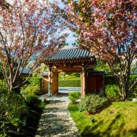 Японский сад :: ARCHANGEL 7