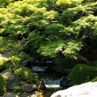 Водопад в японском саду Фукуока Япония :: wea *