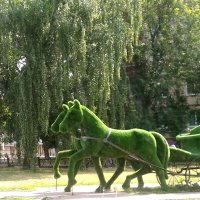 Мой зеленый город :: Елена Семигина