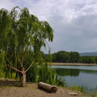 Озеро Лиси :: Наталья (D.Nat@lia)