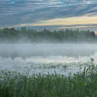 June morning near the Sukhona River | 5 :: Sergey Sonvar