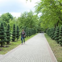 Аллея в парке  Гагарина :: Валентин Семчишин