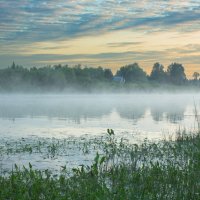 June morning near the Sukhona River | 13 :: Sergey Sonvar
