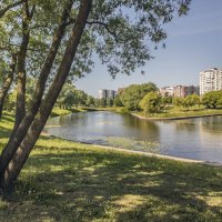 Пейзаж в парке Яблоновка в Невском районе Петербурга :: Стальбаум Юрий 