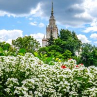 МГУ со стороны Ботанического Сада :: Георгий А