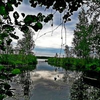 Озерное разнолистье.... :: Vladimir Semenchukov