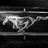 Mustang :: Андрей Неуймин