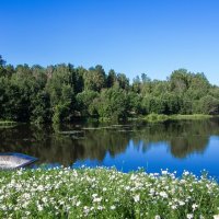 Река. Панорама :: Александр Семенов