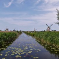Из путешествий по Нидерландам(серия) :: Владимир Манкер