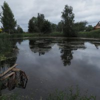 Подмосковные Пейзажи :: юрий поляков