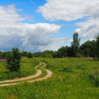 Эх, дороги...! :: Милешкин Владимир Алексеевич 