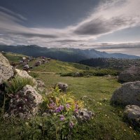 Alpine Meadows of Guria :: Fuseboy 