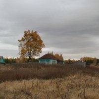Домик в деревне :: Олег Денисов