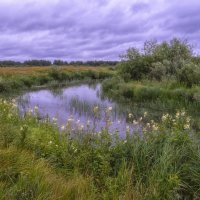 Речка Мстерка :: Сергей Цветков