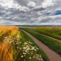 Дорога вдолдь ржаного поля. :: Любовь Шебуренкова 