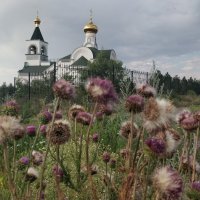 Святые дни :: Андрей Хлопонин