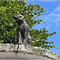 Кот на афишной тумбе. :: Валерия Комова