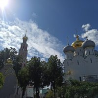 Прогуливаясь у Новодевичьего монастыря :: svk *