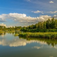 Лес, озеро, облака # 03 :: Андрей Дворников