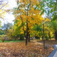 Осень в парке :: Валентин Семчишин