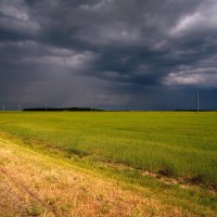 грозовое поле :: M Marikfoto