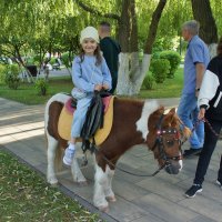 Покататься на пони особая радость :: Елена Кирьянова