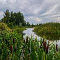 Прогулка в конце июля :: Андрей Дворников