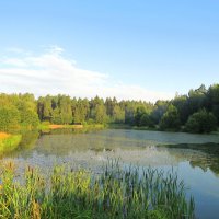 Лесное озеро :: Андрей Снегерёв